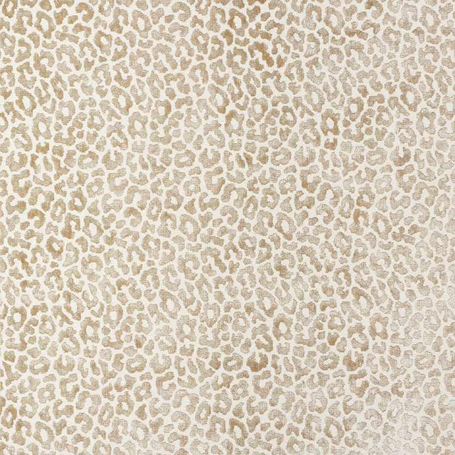 Schumacher Madeleine Velvet Natural 68826 Cut and Patterned Velvets Collection Indoor Upholstery Fabric