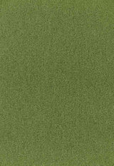 Schumacher Palermo Grass 64937 Mohair Velvet Collection Indoor Upholstery Fabric