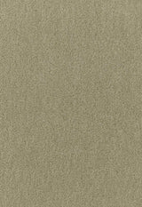 Schumacher Palermo Lichen 64931 Mohair Velvet Collection Indoor Upholstery Fabric