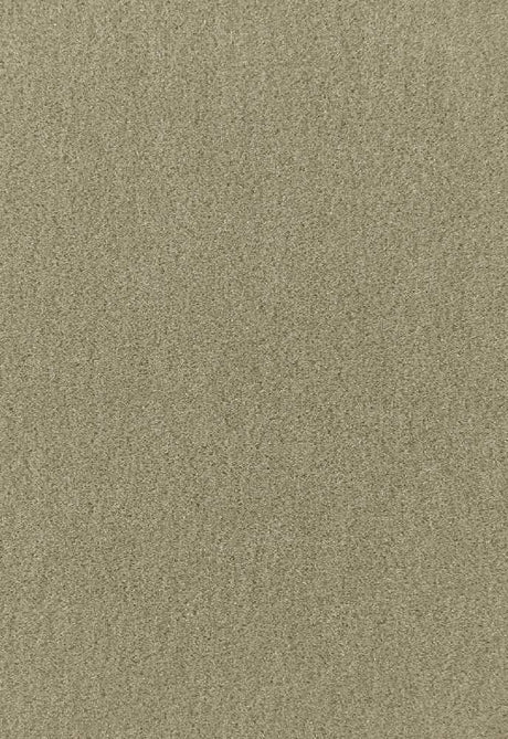 Schumacher Palermo Lichen 64931 Mohair Velvet Collection Indoor Upholstery Fabric