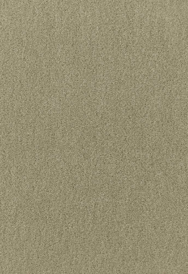 Schumacher Palermo Lichen 64931 Mohair Velvet Collection Indoor Upholstery Fabric