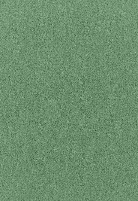Schumacher Palermo Vert 64933 Mohair Velvet Collection Indoor Upholstery Fabric