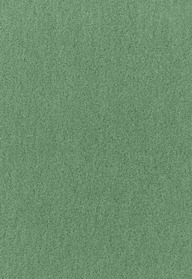 Schumacher Palermo Vert 64933 Mohair Velvet Collection Indoor Upholstery Fabric