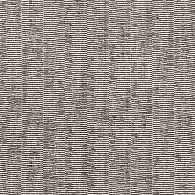 Schumacher Promenade Black 73133 Indoor / Outdoor Prints and Wovens Collection Upholstery Fabric