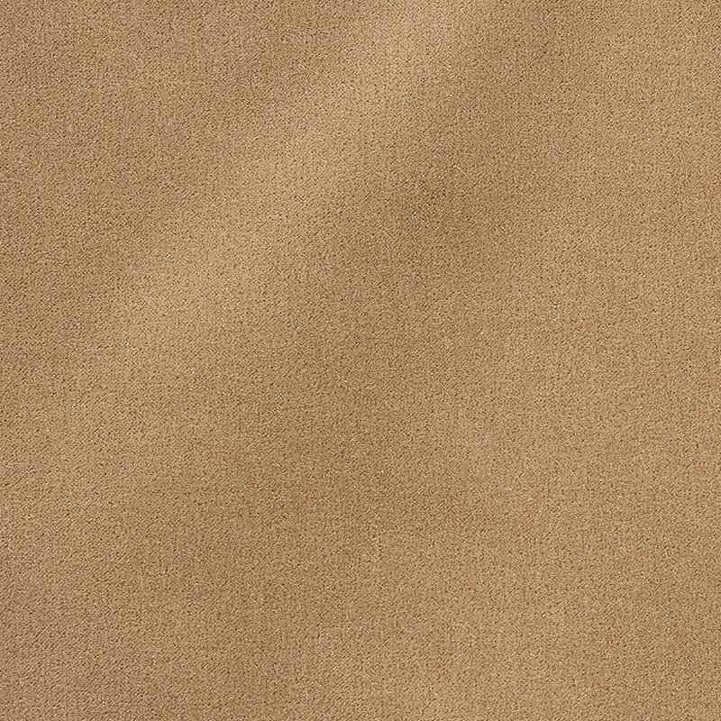 Schumacher San Carlo Doe 64898 Mohair Velvet Collection Indoor Upholstery Fabric