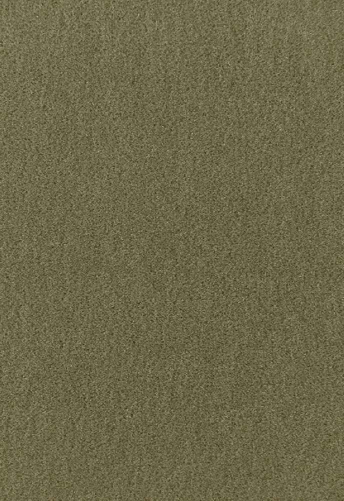 Schumacher San Carlo Moss 64894 Mohair Velvet Collection Indoor Upholstery Fabric