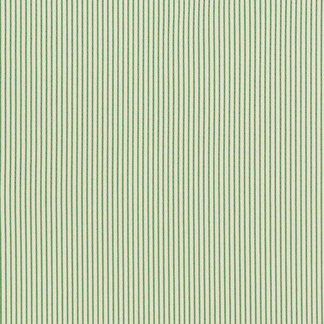 Schumacher Stitched Stripe Green 71740 Indoor / Outdoor Prints and Wovens Collection Upholstery Fabric