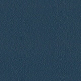 Sample of Serge Ferrari Stamskin Top Adriatic F4340-20284 Upholstery Fabric