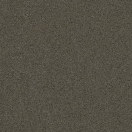Sample of Serge Ferrari Stamskin Top Pebble F4340-07445 Upholstery Fabric