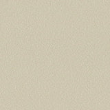 Sample of Serge Ferrari Stamskin Top Sahara F4340-20279 Upholstery Fabric