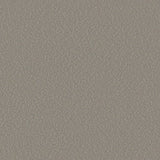 Sample of Serge Ferrari Stamskin Top Taupe F4340-20237 Upholstery Fabric