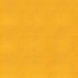 Sample of Ship to Shore Armada 108 Lemon Chiffon Automotive / Marine Upholstery Fabric
