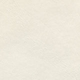 Sample of Ship to Shore Lunar White Automotive / Marine Upholstery Fabric