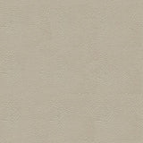 Sample of Ship to Shore Tradewinds 6620 Moonmisty Automotive / Marine Upholstery Fabric