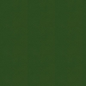 Sample of Ship to Shore Tradewinds 6636 Cascade Pine Automotive / Marine Upholstery Fabric