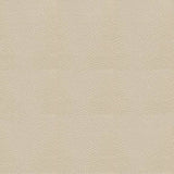 Sample of Ship to Shore Tradewinds 7719 Seashell Automotive / Marine Upholstery Fabric