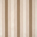 Sample of Silver State Sunbrella Chamberlain Raffia Savannah Collection Upholstery Fabric