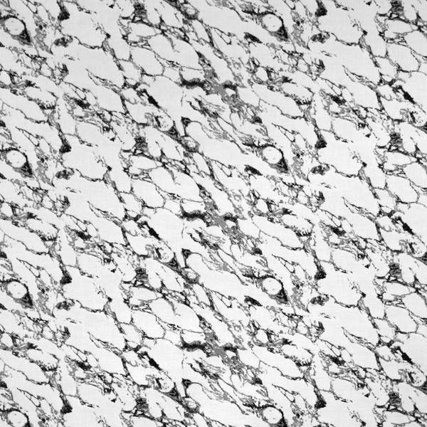 Sample of Silver State Sunbrella Corinth Pompeii Roman Holidays Collection Upholstery Fabric
