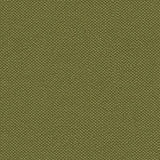 Sample of Silvertex 8820 Basil Upholstery Fabric