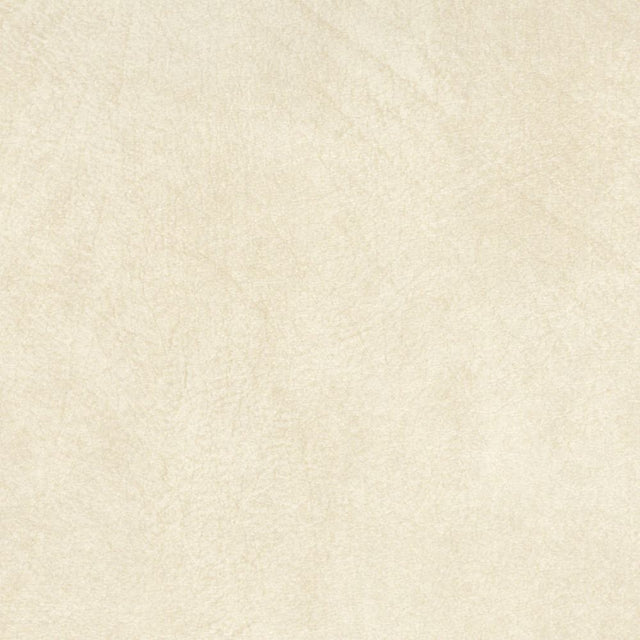 Sample of Softside Allegro 7053 Alabaster Automotive / Marine Upholstery Fabric