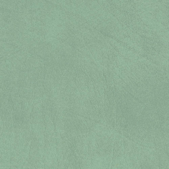 Sample of Softside Allegro 7063 Sage Green Automotive / Marine Upholstery Fabric