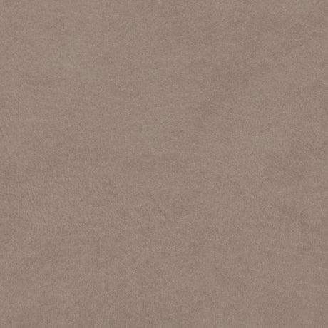 Sample of Softside Allegro 7064 Taupe Automotive / Marine Upholstery Fabric