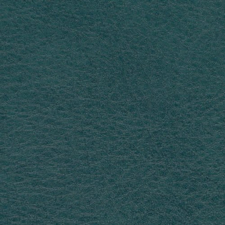 Sample of Softside Allegro Shadow Green 7062 Automotive / Marine Upholstery Fabric