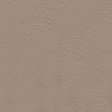 Sample of Softside Aries 1604 Sand Dolla Automotive / Marine Upholstery Fabric