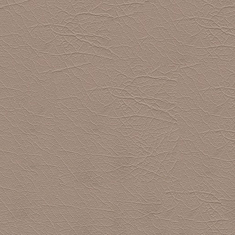 Sample of Softside Aries 1604 Sand Dolla Automotive / Marine Upholstery Fabric