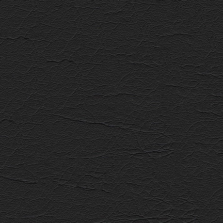 Sample of Softside Aries 1606 Ebony Automotive / Marine Upholstery Fabric