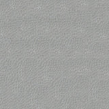 Sample of Softside Gemini 2563 Aluminum Upholstery Fabric