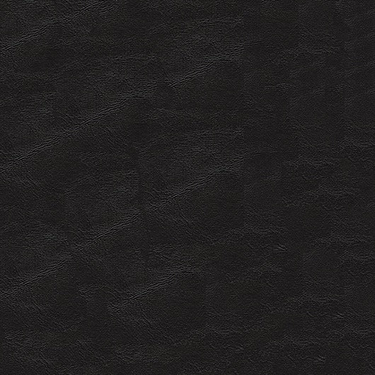 Sample of Softside Islander 9155 Ebony Marine Upholstery Fabric