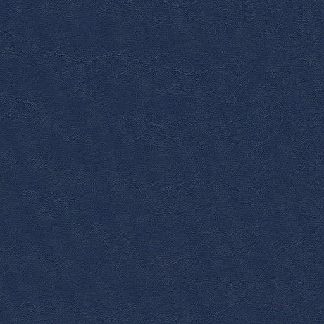 Sample of Softside Islander 9158 Silver Blue Marine Upholstery Fabric