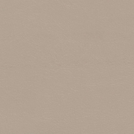 Sample of Softside Navigator 9896 Stone Automotive / Marine Upholstery Fabric