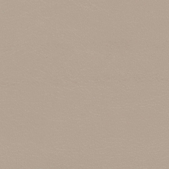 Sample of Softside Navigator 9896 Stone Automotive / Marine Upholstery Fabric