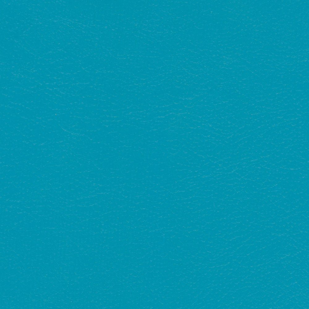 Sample of Softside Navigator 9899 Capri Automotive / Marine Upholstery Fabric