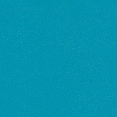 Sample of Softside Navigator 9899 Capri Automotive / Marine Upholstery Fabric