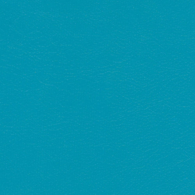 Sample of Softside Navigator 9899 Capri Automotive / Marine Upholstery Fabric
