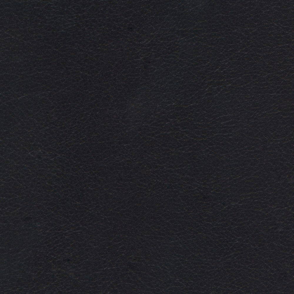 Sample of Softside Navigator 9905 BlackBeard Automotive / Marine Upholstery Fabric
