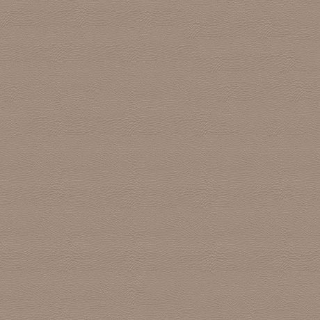 Sample of Softside Pegasus 1616 Sand Dollar Automotive / Marine Upholstery Fabric
