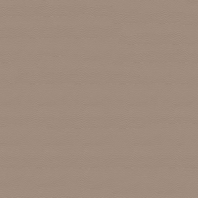 Sample of Softside Pegasus 1616 Sand Dollar Automotive / Marine Upholstery Fabric