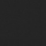Sample of Softside Pegasus 1618 Ebony Automotive / Marine Upholstery Fabric