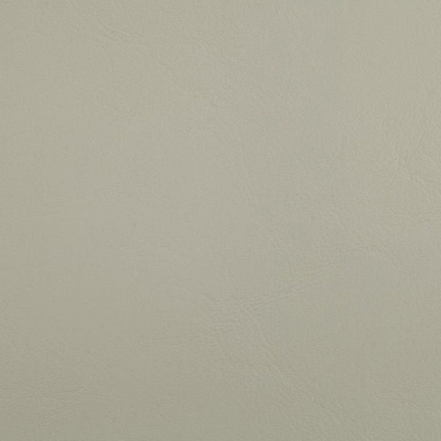 Sample of Softside Zander 3101 Ivory Automotive / Marine Upholstery Fabric