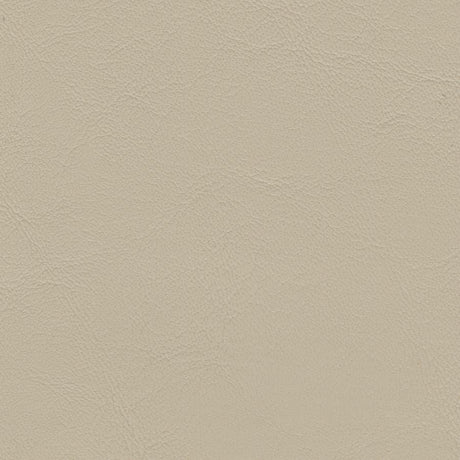 Sample of Softside Zander 3108 Parchment Automotive / Marine Upholstery Fabric