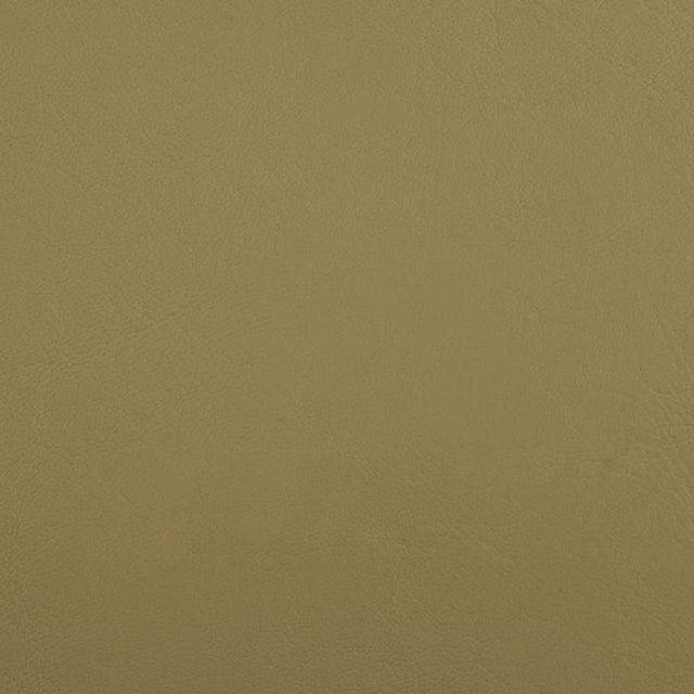 Sample of Softside Zander 3109 Dune Automotive / Marine Upholstery Fabric