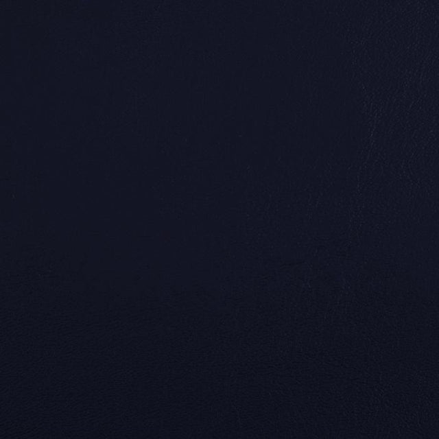 Sample of Softside Zander 3124 Celestial Automotive / Marine Upholstery Fabric