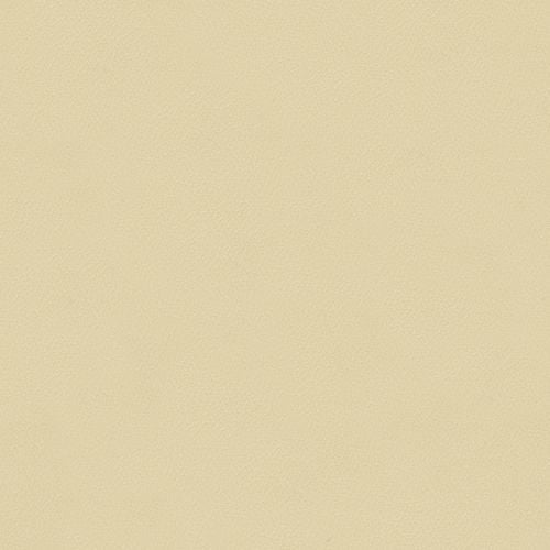 Sample of Spirit 385 Parchment Contract Automotive and Marine Upholstery Fabric