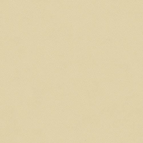 Sample of Spirit 385 Parchment Contract Automotive and Marine Upholstery Fabric