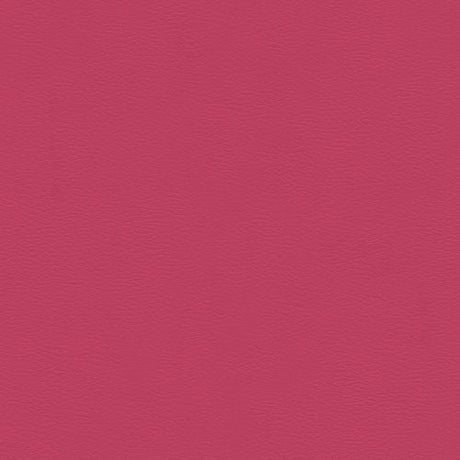 Sample of Spirit 504 Rosalee Contract Automotive and Marine Upholstery Fabric