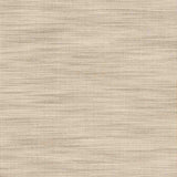 Sample of Stout Adair Raffia 2 Color My Window Collection Drapery Fabric